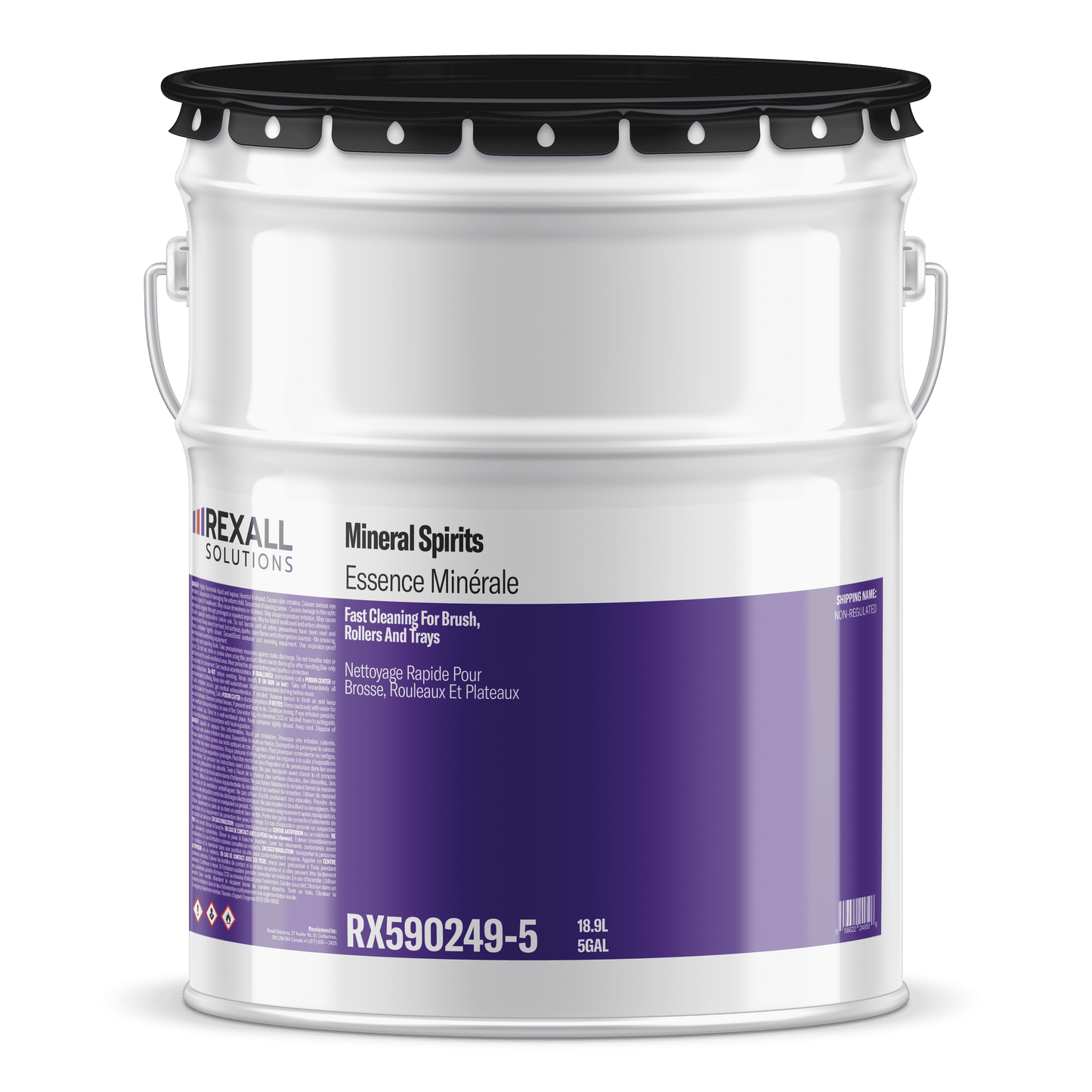 Rexall Solutions Mineral Spirits | Paint Thinner